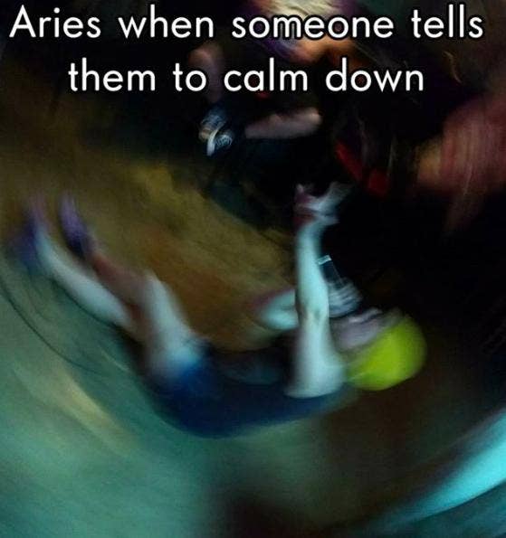 50 Best Aries Memes That Describe This Zodiac Sign YourTango